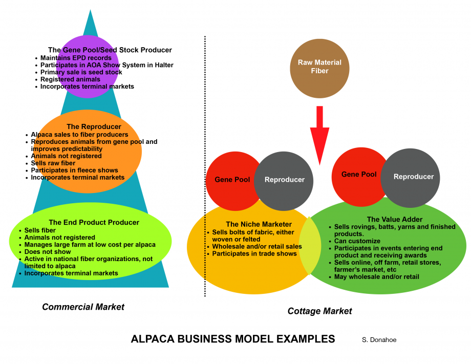 Schematic drawing of alpaca industry business models