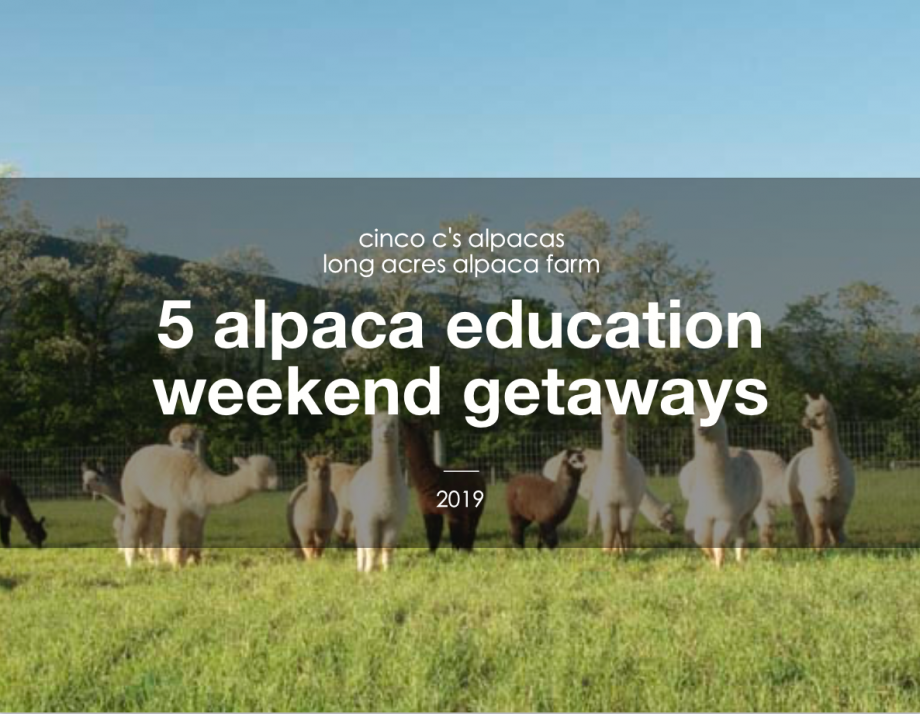 5 Alpaca Education Weekend Getaways