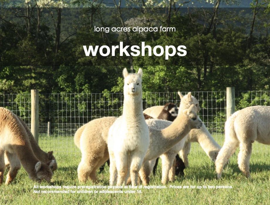 Alpaca Workshops